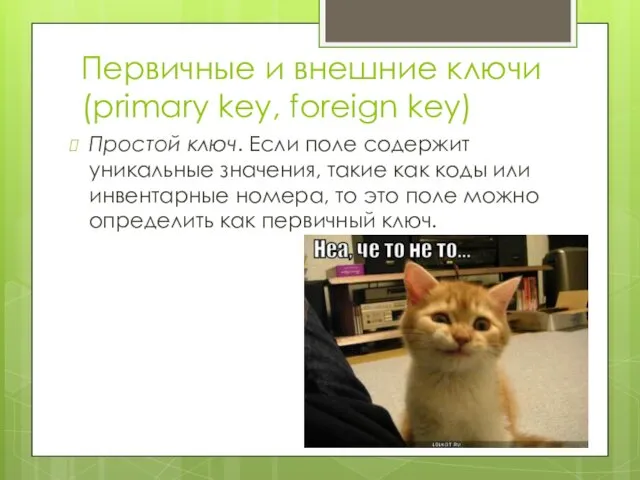 Первичные и внешние ключи (primary key, foreign key) Простой ключ.