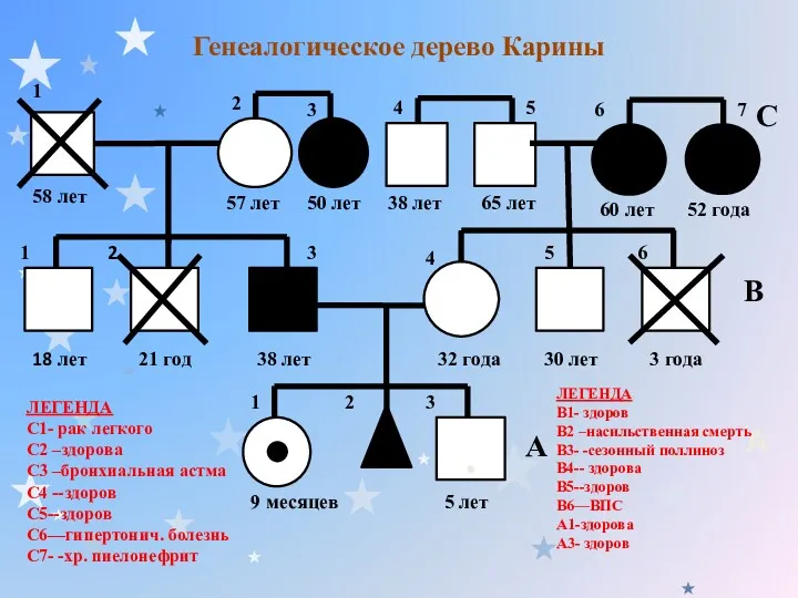 Генеалогическое дерево Карины . 1 2 2 3 4 5