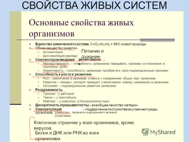 СВОЙСТВА ЖИВЫХ СИСТЕМ (гомеостаз) . Нервной и эндокринной системой (гормонами)