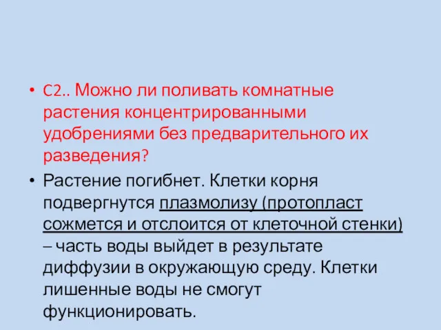 C2.. Можно ли поливать комнатные растения концентрированными удобрениями без предварительного