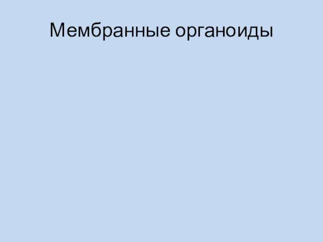 Мембранные органоиды