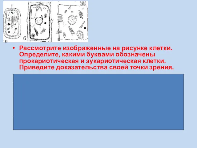 Рассмотрите изображенные на рисунке клетки. Определите, какими буквами обозначены прокариотическая