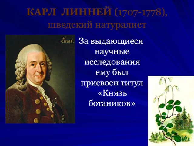 КАРЛ ЛИННЕЙ (1707-1778), шведский натуралист За выдающиеся научные исследования ему был присвоен титул «Князь ботаников»