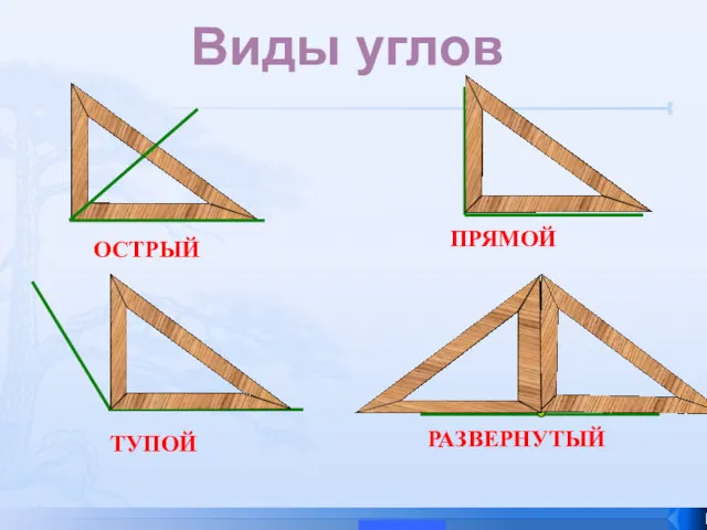 ОСТРЫЙ ТУПОЙ ПРЯМОЙ РАЗВЕРНУТЫЙ Виды углов