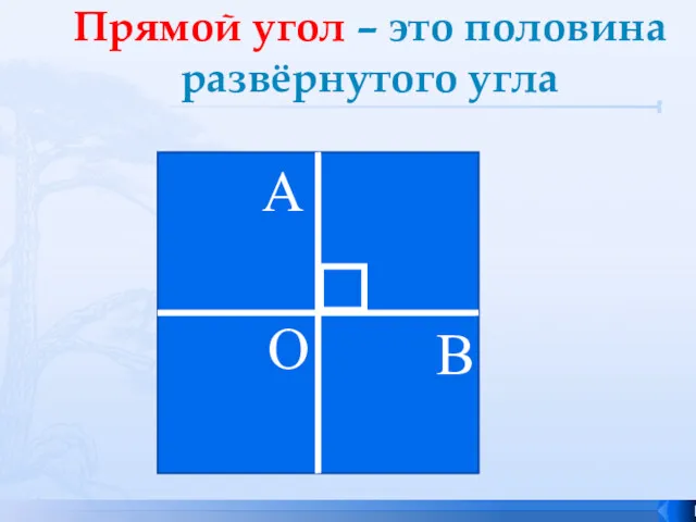 Прямой угол – это половина развёрнутого угла