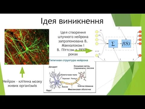 Ідея виникнення Ідея створення штучного нейрона запропонована В. Маккалоком і