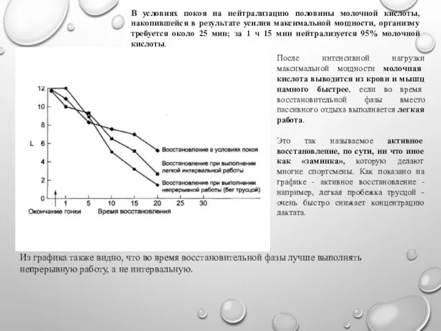 В условиях покоя на нейтрализацию половины молочной кислоты, накопившейся в
