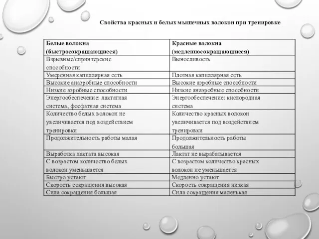 Свойства красных и белых мышечных волокон при тренировке