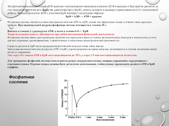 Фосфатный механизм ресинтеза АТФ включает использование имеющихся запасов АТФ в