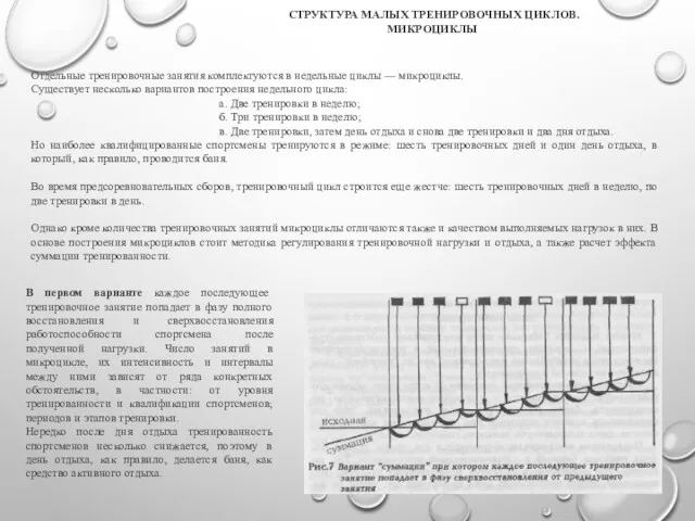 Отдельные тренировочные занятия комплектуются в недельные циклы — микроциклы. Существует