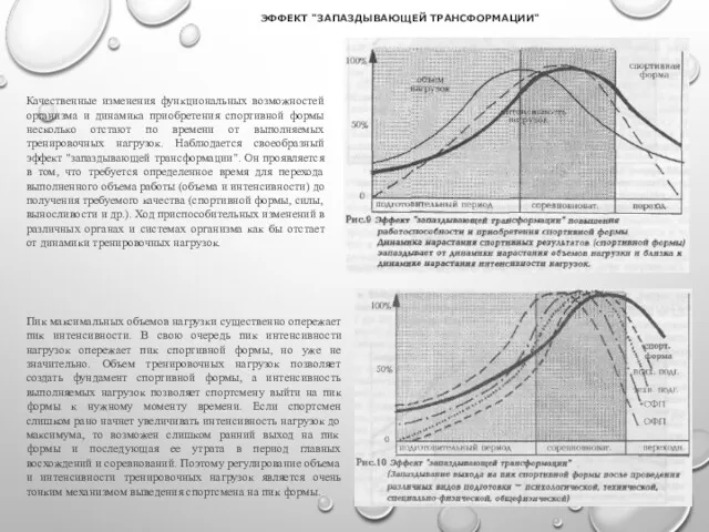 Качественные изменения функциональных возможностей организма и динамика приобретения спортивной формы