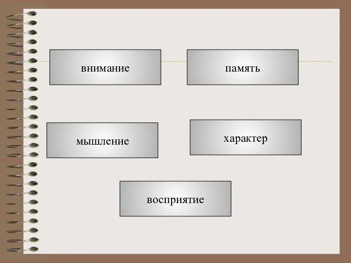 внимание мышление память характер восприятие