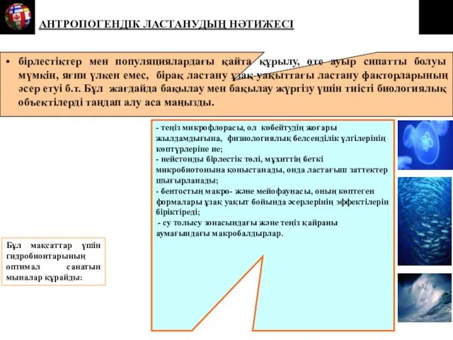 бірлестіктер мен популяциялардағы қайта құрылу, өте ауыр сипатты болуы мүмкін,