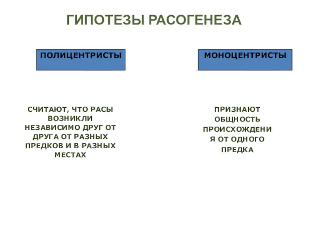 ГИПОТЕЗЫ РАСОГЕНЕЗА ПОЛИЦЕНТРИСТЫ МОНОЦЕНТРИСТЫ СЧИТАЮТ, ЧТО РАСЫ ВОЗНИКЛИ НЕЗАВИСИМО ДРУГ