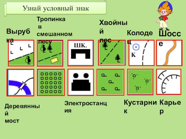 Узнай условный знак Вырубка Тропинка в смешанном лесу Хвойный лес