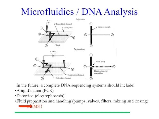 Microfluidics / DNA Analysis