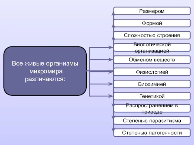 Размером Формой Сложностью строения Биологической организацией Обменом веществ Физиологией Биохимией