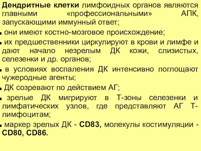 Дендритные клетки лимфоидных органов являются главными «профессиональными» АПК, запускающими иммунный