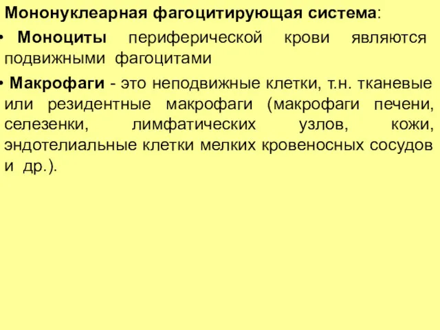 Мононуклеарная фагоцитирующая система: Моноциты периферической крови являются подвижными фагоцитами Макрофаги