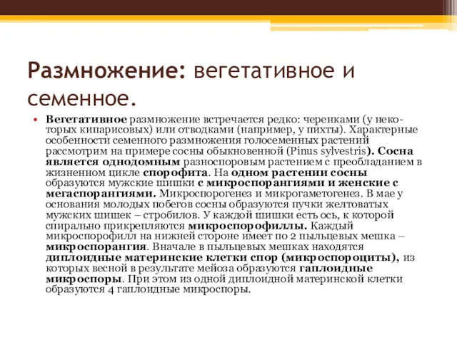 Размножение: вегетативное и семенное. Вегетативное размножение встречается редко: черенками (у