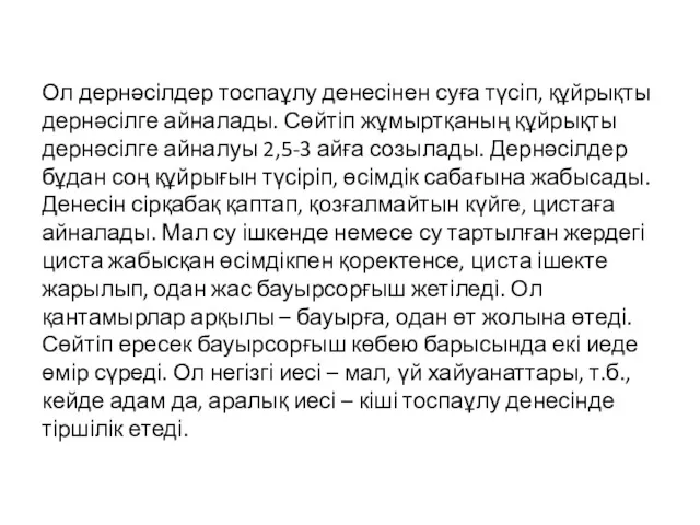 Ол дернәсілдер тоспаұлу денесінен суға түсіп, құйрықты дернәсілге айналады. Сөйтіп