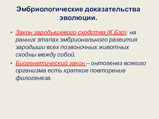 Эмбриологические доказательства эволюции. Закон зародышевого сходства (К.Бэр): на ранних этапах