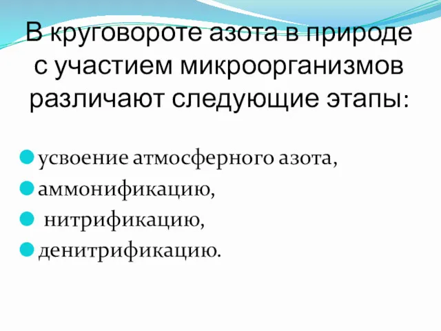 В круговороте азота в природе с участием микроорганизмов различают следующие