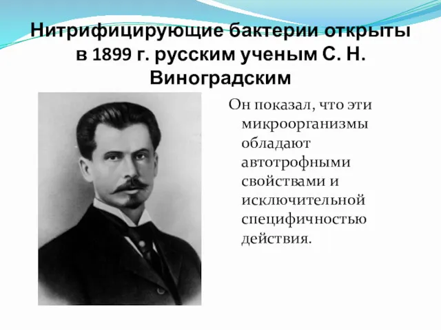 Нитрифицирующие бактерии открыты в 1899 г. русским ученым С. Н.