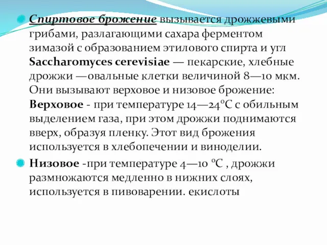 Спиртовое брожение вызывается дрожжевыми грибами, разлагающими сахара ферментом зимазой с