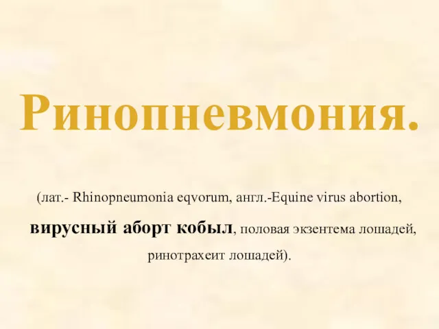 Ринопневмония. (лат.- Rhinopneumoniа eqvorum, англ.-Equine virus abortion, вирусный аборт кобыл, половая экзентема лошадей, ринотрахеит лошадей).