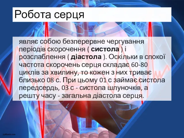 Робота серця являє собою безперервне чергування періодів скорочення ( систола ) і розслаблення