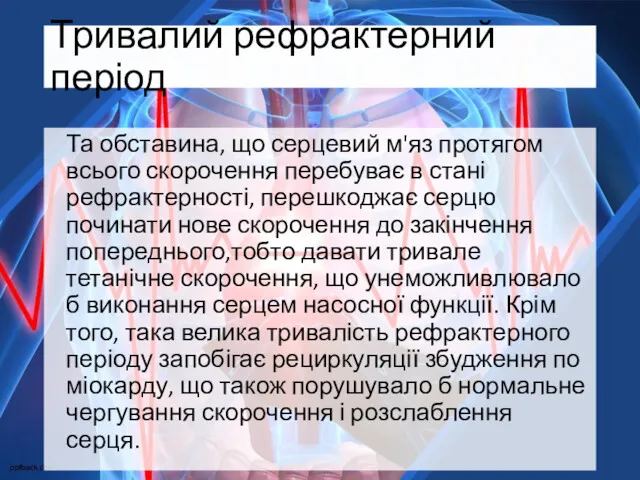 Тривалий рефрактерний період Та обставина, що серцевий м'яз протягом всього