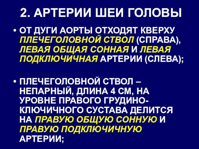 2. АРТЕРИИ ШЕИ ГОЛОВЫ ОТ ДУГИ АОРТЫ ОТХОДЯТ КВЕРХУ ПЛЕЧЕГОЛОВНОЙ