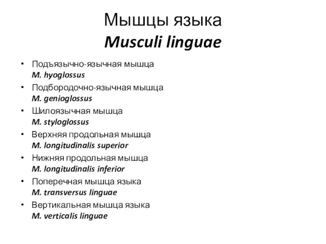 Мышцы языка Musculi linguae Подъязычно-язычная мышца M. hyoglossus Подбородочно-язычная мышца