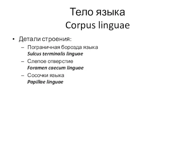 Тело языка Corpus linguae Детали строения: Пограничная борозда языка Sulcus