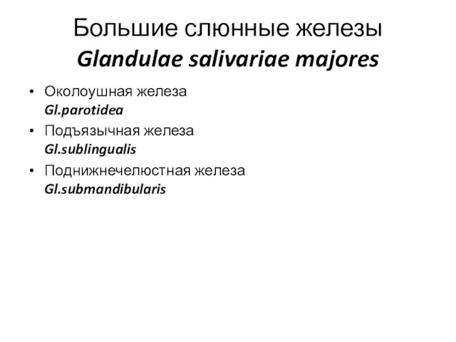 Большие слюнные железы Glandulae salivariae majores Околоушная железа Gl.parotidea Подъязычная железа Gl.sublingualis Поднижнечелюстная железа Gl.submandibularis