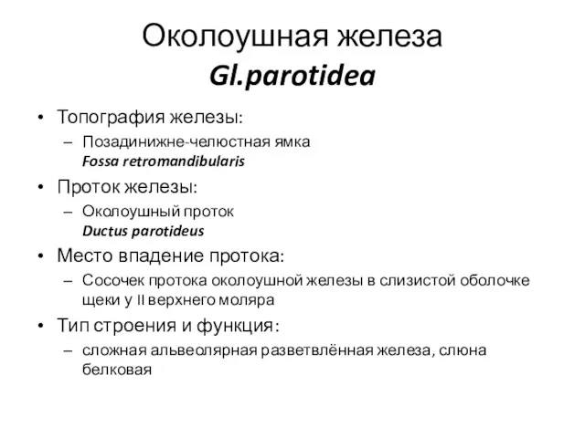 Околоушная железа Gl.parotidea Топография железы: Позадинижне-челюстная ямка Fossa retromandibularis Проток