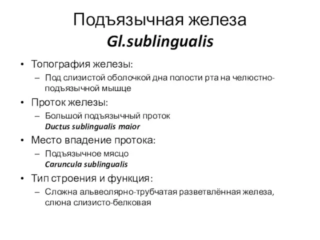 Подъязычная железа Gl.sublingualis Топография железы: Под слизистой оболочкой дна полости