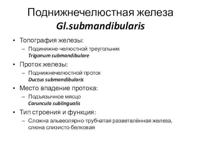 Поднижнечелюстная железа Gl.submandibularis Топография железы: Подинижне-челюстной треугольник Trigonum submandibulare Проток