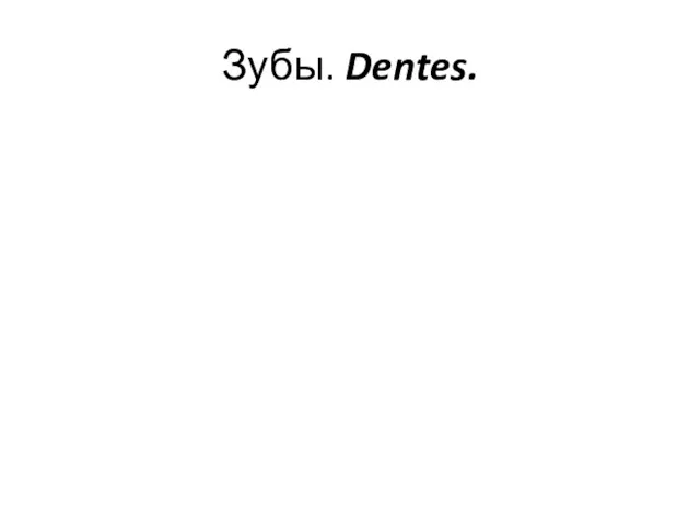 Зубы. Dentes.