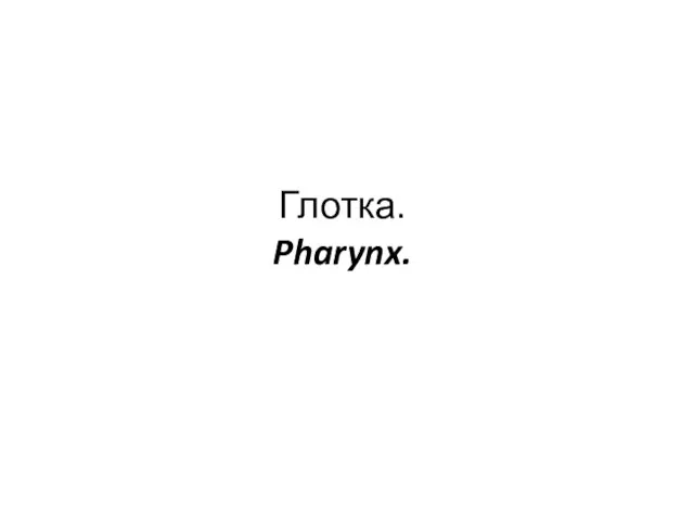 Глотка. Pharynx.