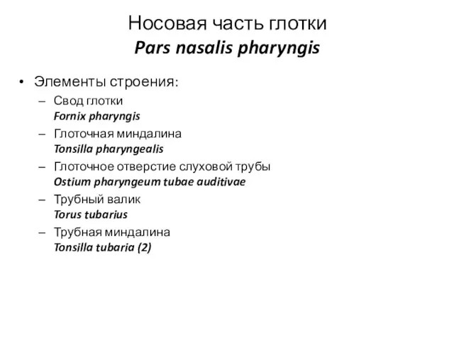 Носовая часть глотки Pars nasalis pharyngis Элементы строения: Свод глотки