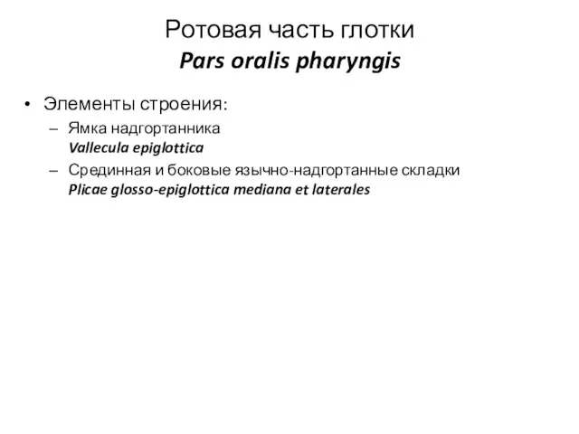 Ротовая часть глотки Pars oralis pharyngis Элементы строения: Ямка надгортанника