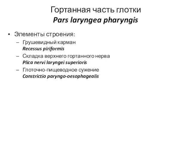 Гортанная часть глотки Pars laryngea pharyngis Элементы строения: Грушевидный карман