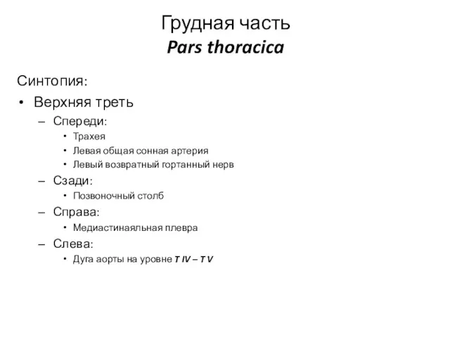 Грудная часть Pars thoracica Синтопия: Верхняя треть Спереди: Трахея Левая