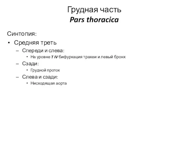 Грудная часть Pars thoracica Синтопия: Средняя треть Спереди и слева: