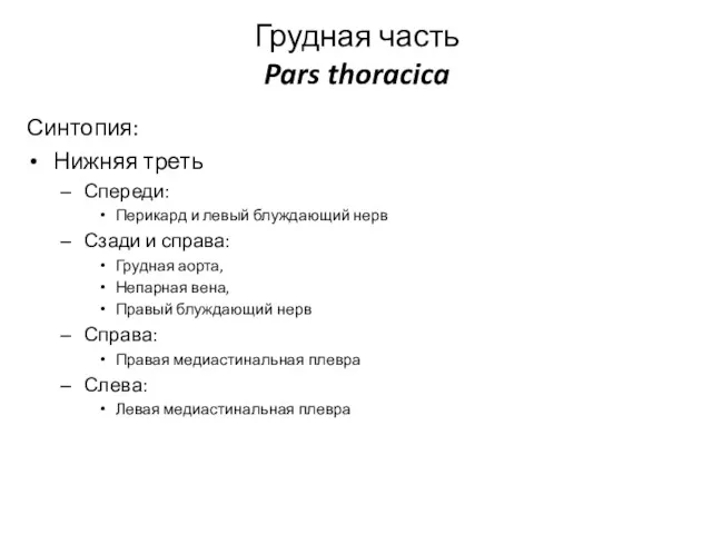 Грудная часть Pars thoracica Синтопия: Нижняя треть Спереди: Перикард и