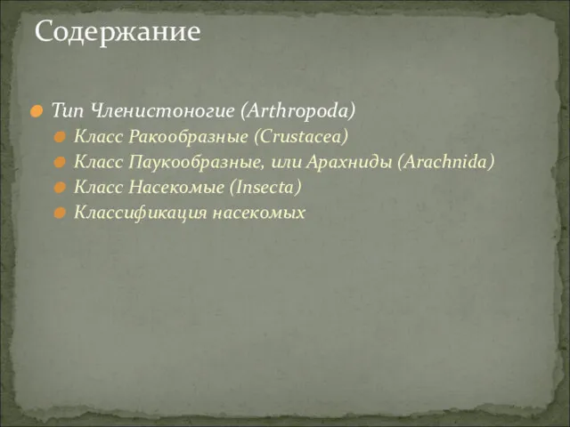 Тип Членистоногие (Arthropoda) Класс Ракообразные (Crustacea) Класс Паукообразные, или Арахниды