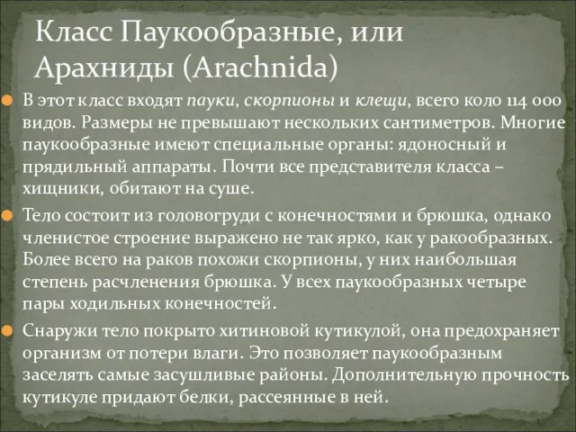 В этот класс входят пауки, скорпионы и клещи, всего коло