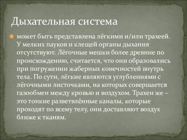 может быть представлена лёгкими и/или трахеей. У мелких пауков и